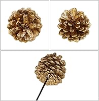 Vista 20 de Winlyn 20 piezas de púas de piña natural esmeriladas, adornos de piñas de pino con punta blanca con tallos de alambre de 6.9 pulgadas de alto