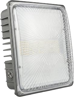 CEA Professional LED 10'x10' canopy lights 100w/70w/30w, 5 CCT, 3000K/3500K/4000K/5000K/6500K, IP65 Waterproof, 100-277VAC driver, ETL, Commercial Gas Station Lighting, Aluminum,Parking Garage, School