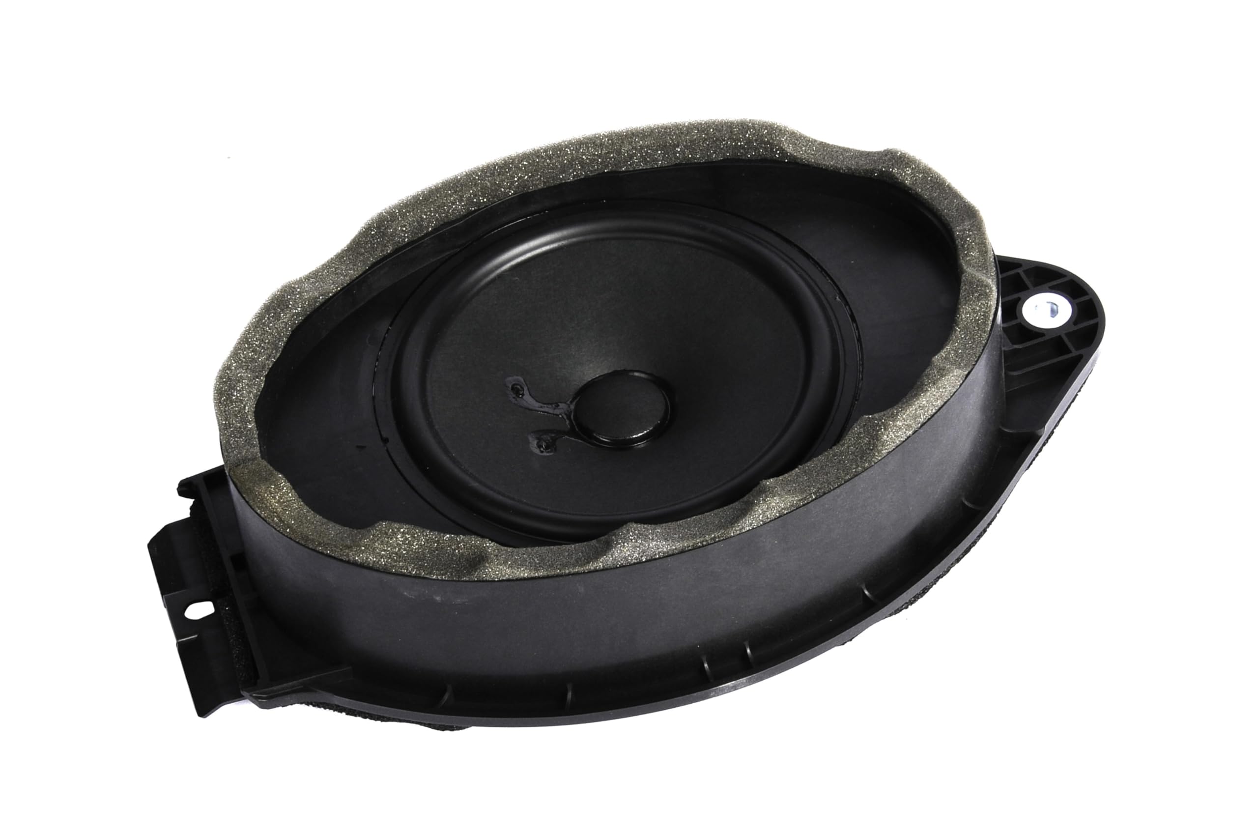 Amazon.com: GM Genuine Parts 22753372 Front Door Radio Speaker