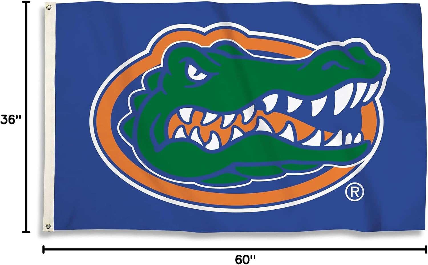 BSI PRODUCTS, INC. - Florida Gators 3’x5’ Flag with Heavy-Duty Brass Grommets - UF Football, Basketball & Baseball Pride - High Durability - Designed for Indoor or Outdoor Use - Great Gift Idea