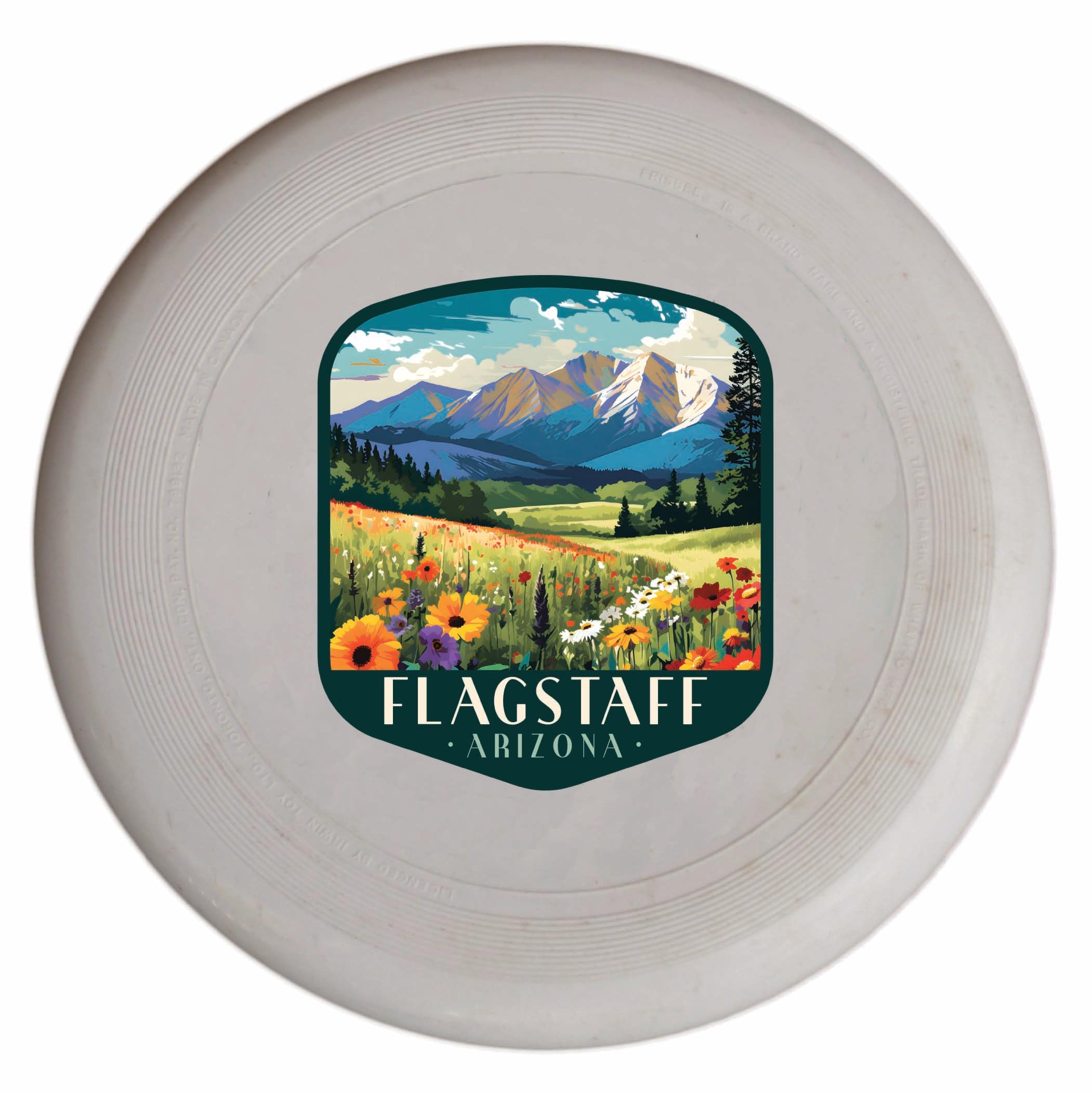 Flagstaff Arizona Design C Souvenir Frisbee Flying Disc 2-Pack