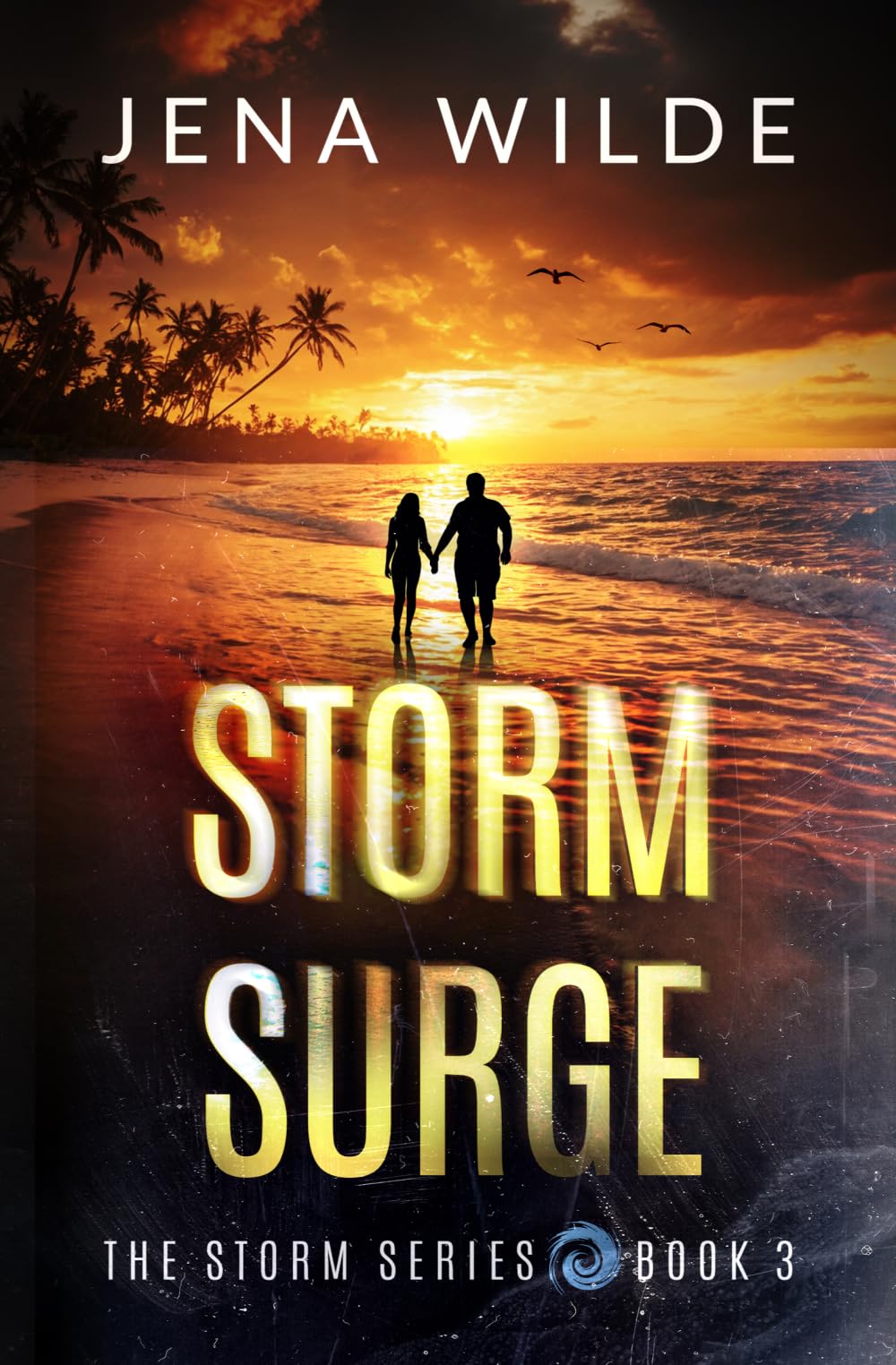 Storm Surge: A Romantic Suspense Novel (the Storm Series)