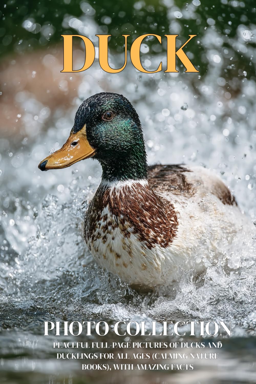 Duck Photo Collection: Peaceful Full-Page Pictures of Ducks and Ducklings for All Ages (Calming Nature Books), with Amazing Facts