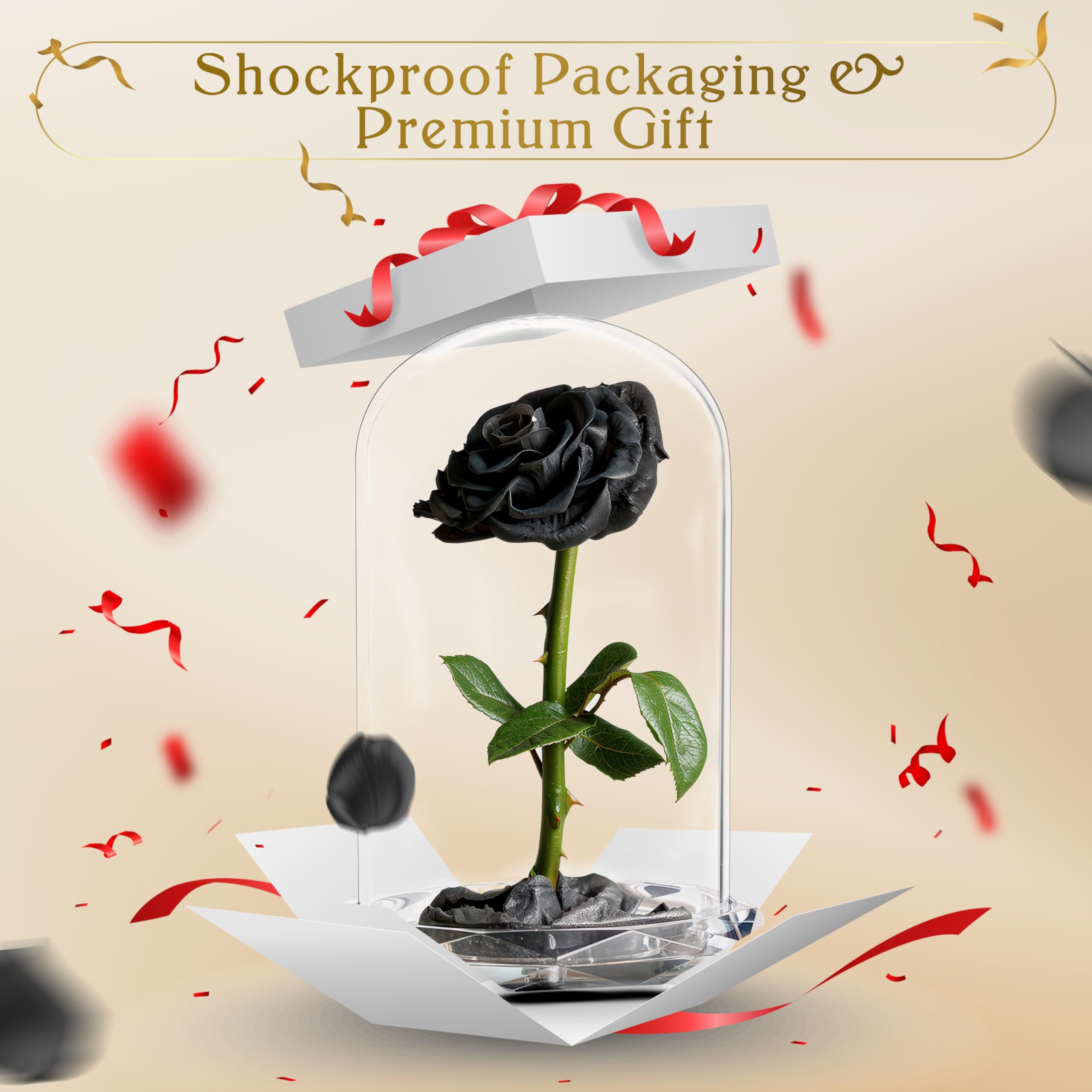 INTIGNIS Rose Stabilisée sous Cloche en Verre, Véritable Fleur Préservée Jusqu’à 5 Ans, Cadeau Élégant pour Femme, 25 cm avec Fleur 8 cm, Base Décorative (Noir)