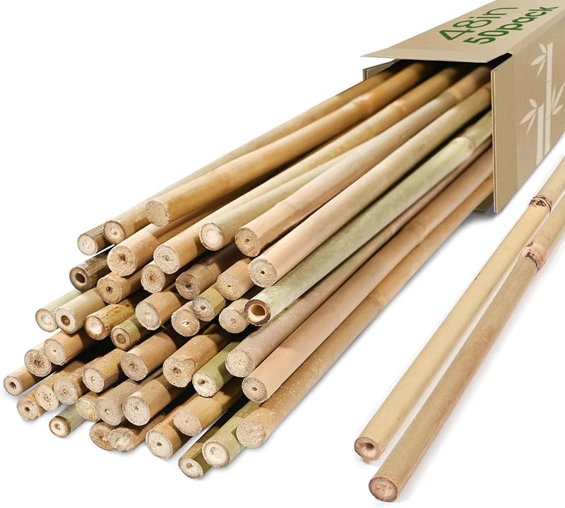 Estacas de bambú Cambaverd, estacas para plantas de 4 pies, paquete de 50 palos de bambú para plantas | Estacas de jardín naturales para tomates, frijoles y plantas trepadoras, postes de bambú resistentes para jardinería
