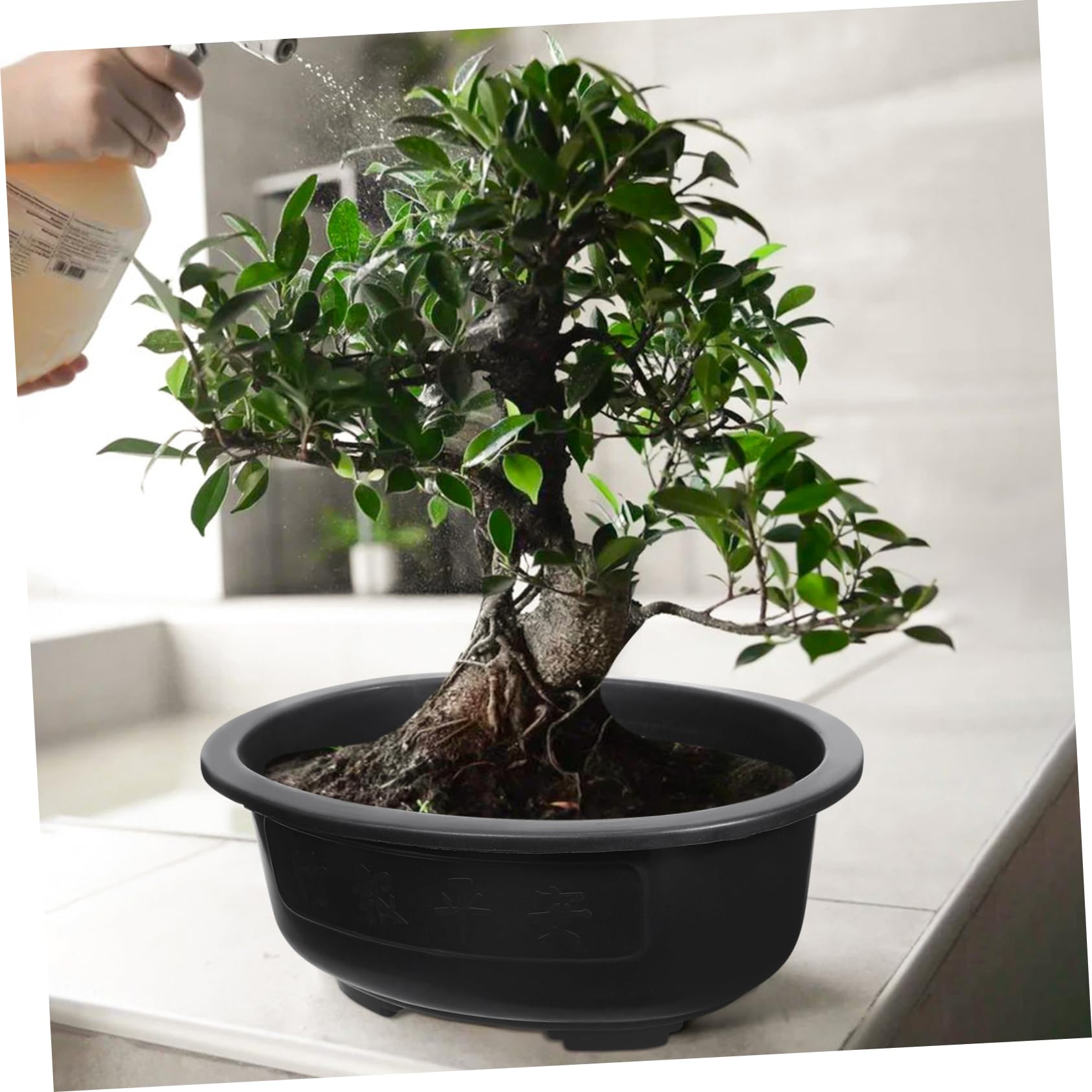 TOYANDONA 2 Pots De Fleurs Plastique Grande Taille 14.96In X 11.81In X 5.51In avec Drainage pour Jardin IntéRieur ExtéRieur Bonsaï Et DéCoration Balcon Bureau