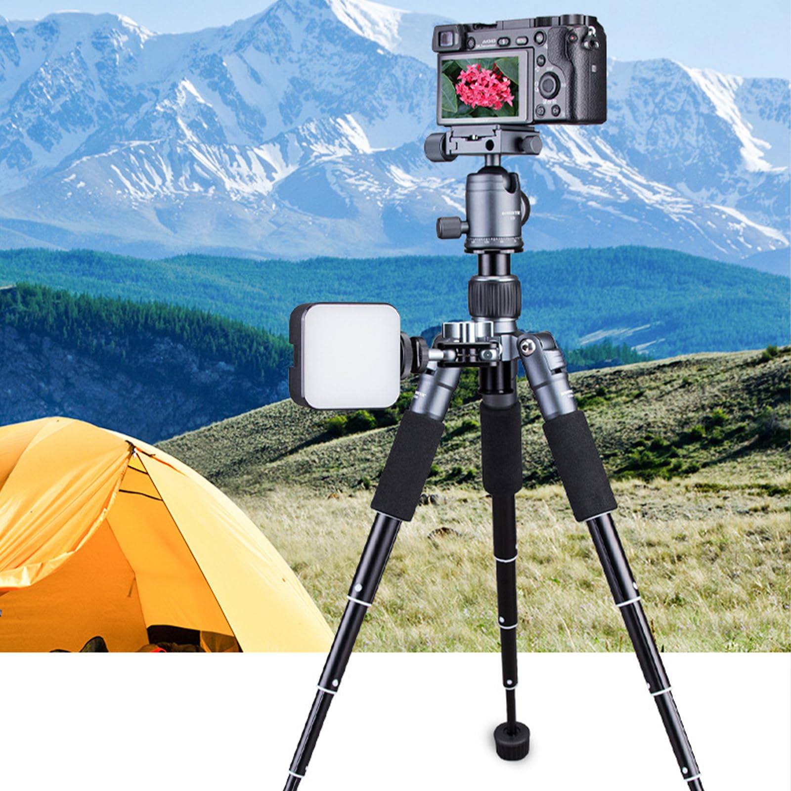 Treppiede 5 sezioni 360 gradi Rotazione orizzontale Testa in alluminio leggero per fotocamere DSLR Videocamere Fotografia Treppiede Mount