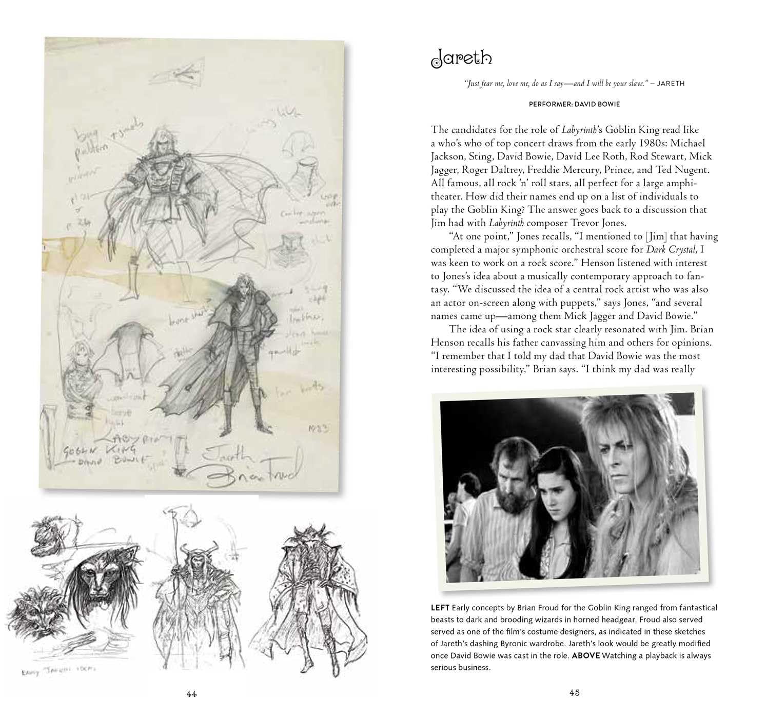 Labyrinth: VHS Edition: Visual Handbook Special Edition