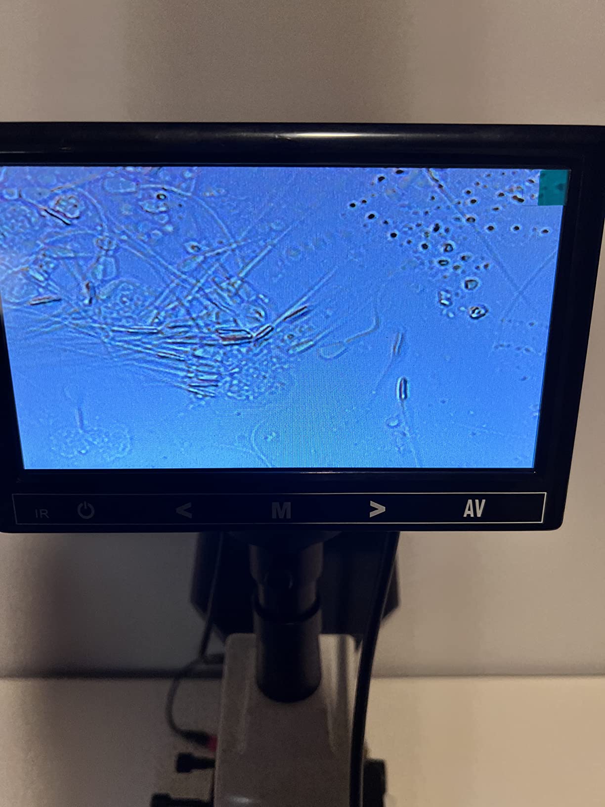 Item is in perfect shape