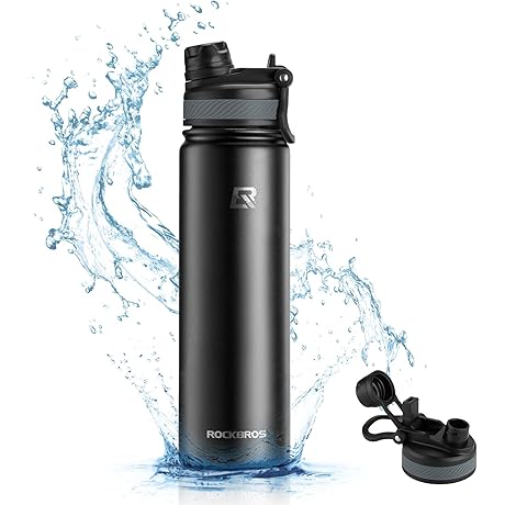 ROCKBROS Insulated Water Bottle with Straw