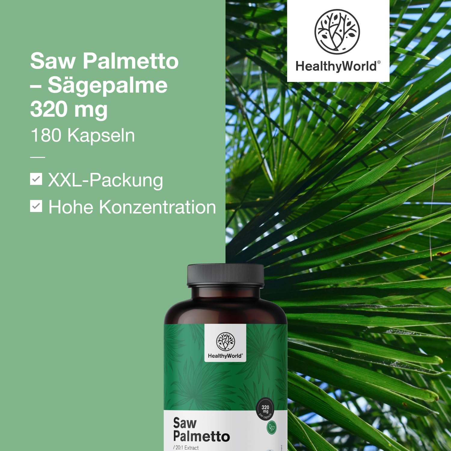HealthyWorld Saw Palmetto – Sägepalme mit Zinkzusatz – 20:1 Extrakt – 180 pflanzliche Kapseln – Unterstützung für die Prostata – XXL-Packung – Für 6 Monate
