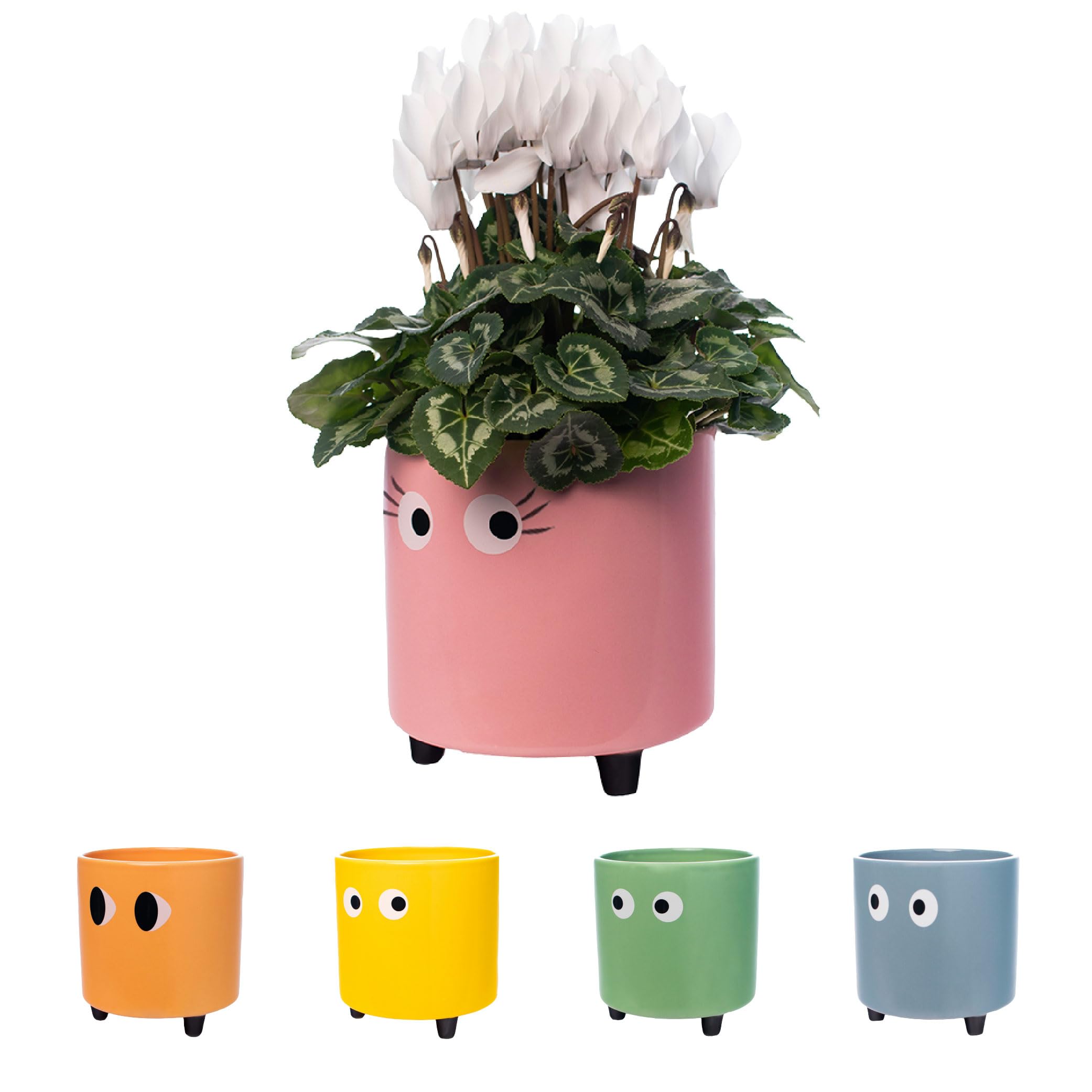 Fisura - Original Eyes Plant Pot - Indoor Ceramic Planter with Legs for Cactus & Succulents, Decorative Flower Pot, Gift Idea for Plant Lovers, 13 x 12.5 cm (Pink)