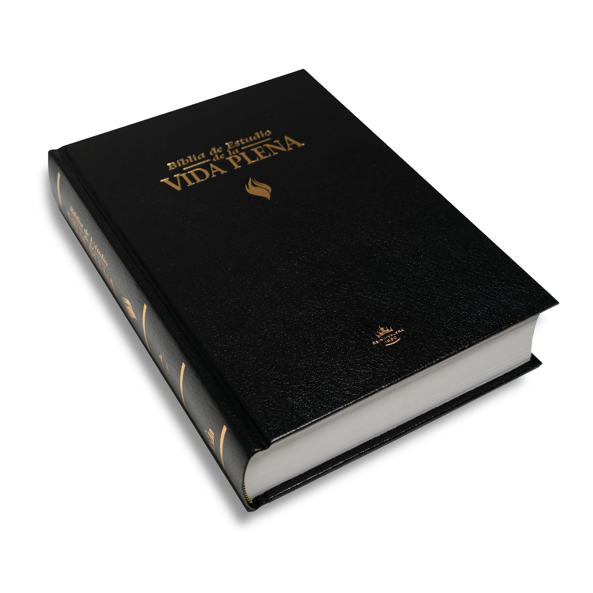 Biblia de Estudio de la Vida Plena-RV 1960: Reina-Valera 1960 (Full Life Study Bible)