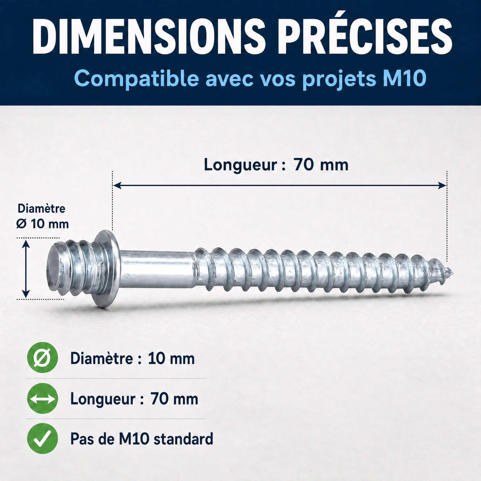 50 Pattes à Vis - M10 X 70