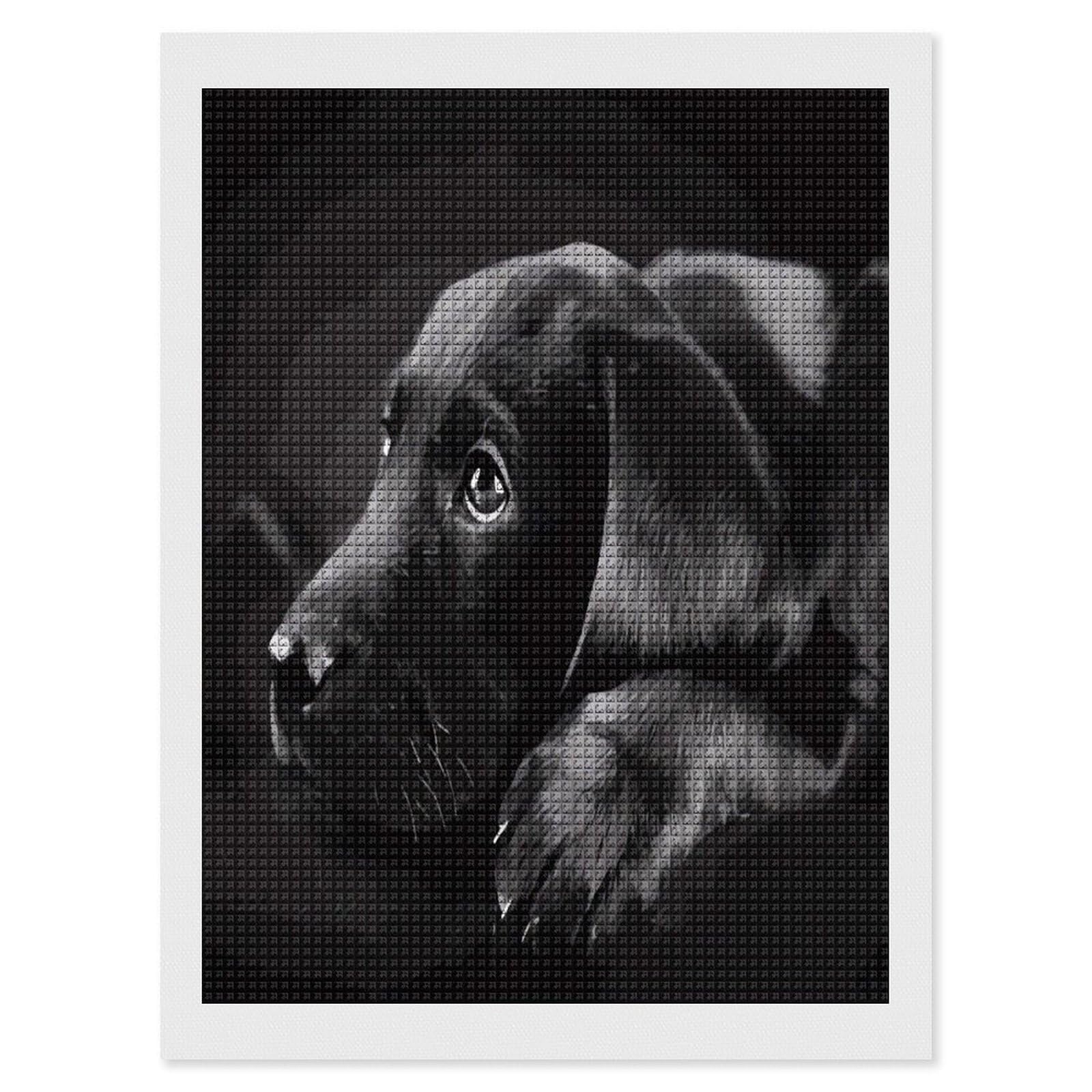 FodPand Black Labrador Puppy Diamond Painting Kit for Beginner Fun 5D DIY Crafts for Adults Diamond Art Kits Square Diamond Art Canvas Painting Gem Art Crafts for Home Wall Decor 12"x16"