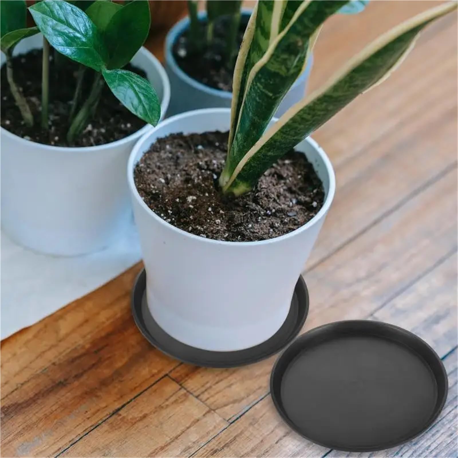Bandeja para Plantas Platos for Plantas, platillos for Interiores, Forma Redonda, bandejas for Plantas, platillos Grandes for atrapar Platos al Aire Libre, 4 Uds. para Plantas,Macetas