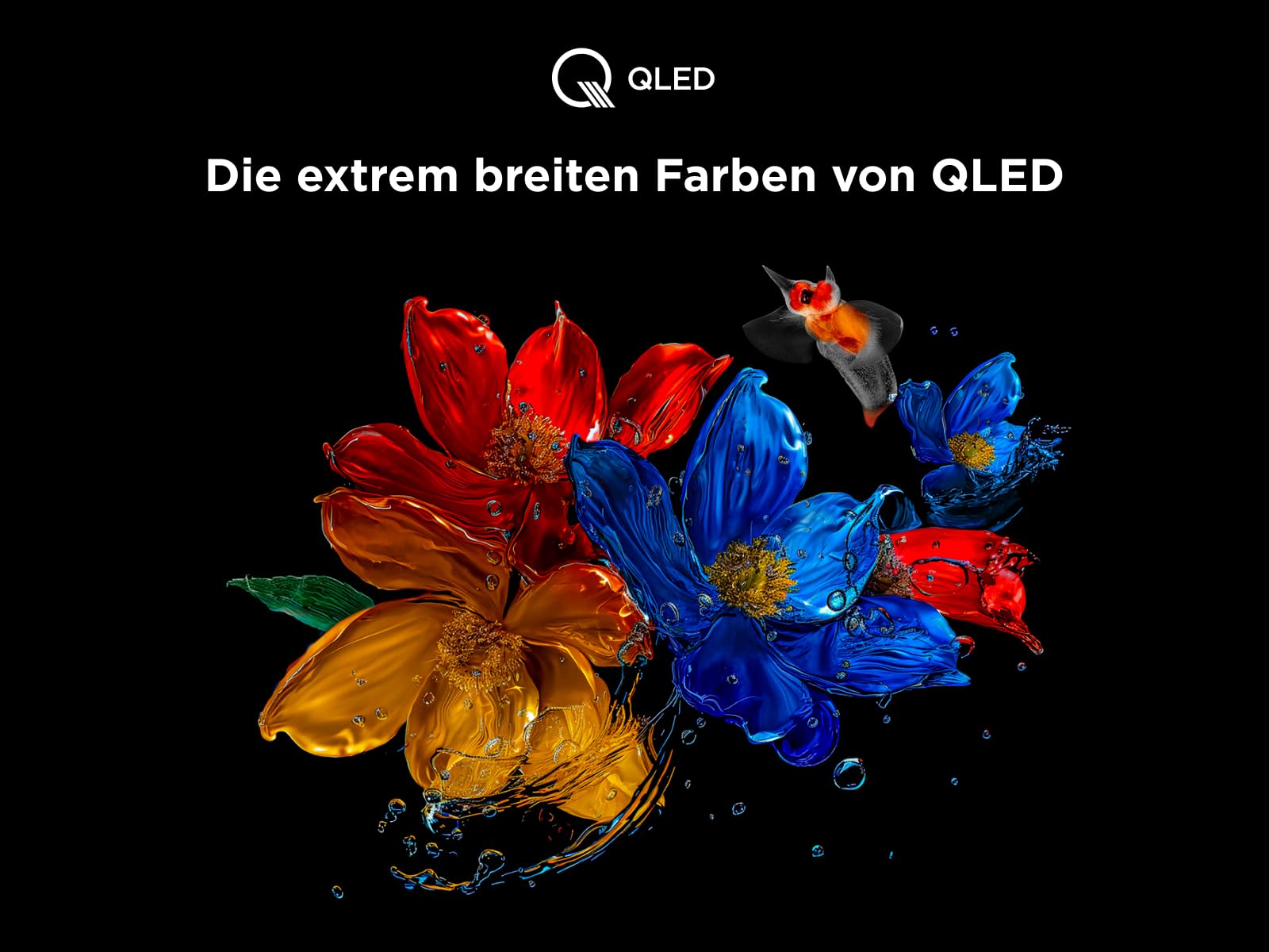 TCL 65T8C 65 Zoll QLED 4K HDR UHD Fernseher, Smart Google TV Dolby Vision & Atmos, 144Hz Motion Clarity Pro, Game Bar, ALLM, FreeSync, Onkyo 2.1 Sound, Sprachsteuerung, Kompatibel mit Google Assistant