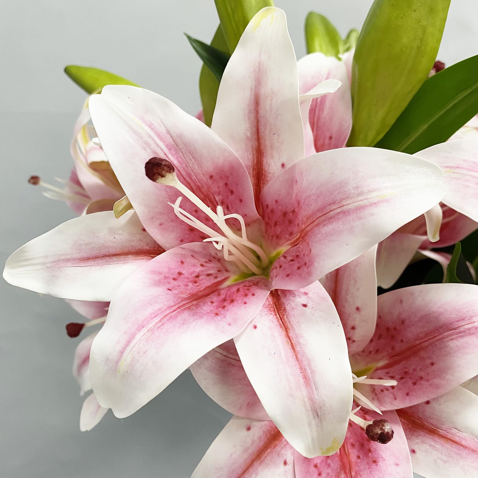 ユリ様 ユリ🕊️ (@yuri___japan) / X