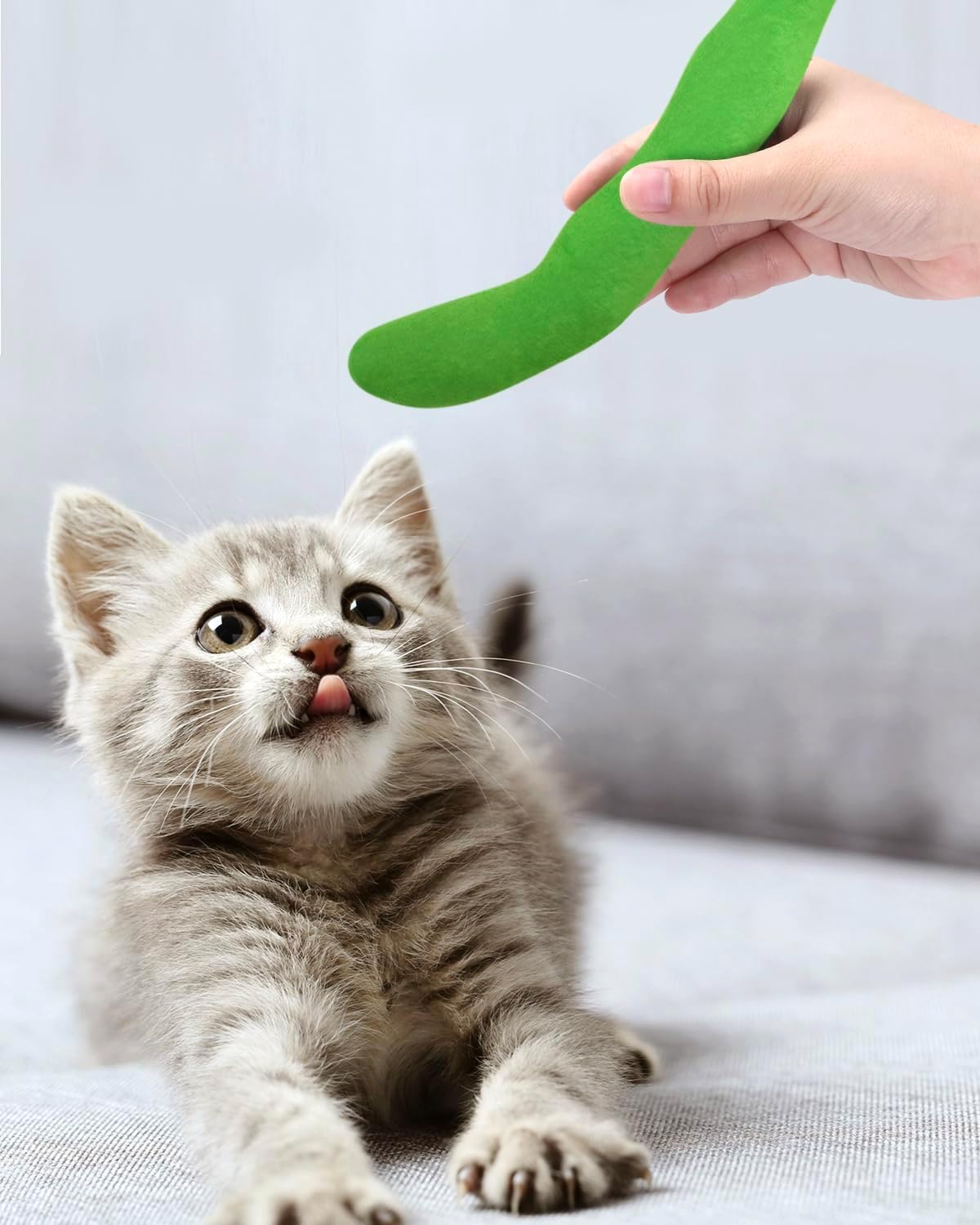 CiyvoLyeen Catnip Toy, Green Bean Cat Toys Kitten Supplies Interactive Kicker Vegetables Vegan Dental Health Teething Chew Gift for Cat Lovers Indoor 4PCS