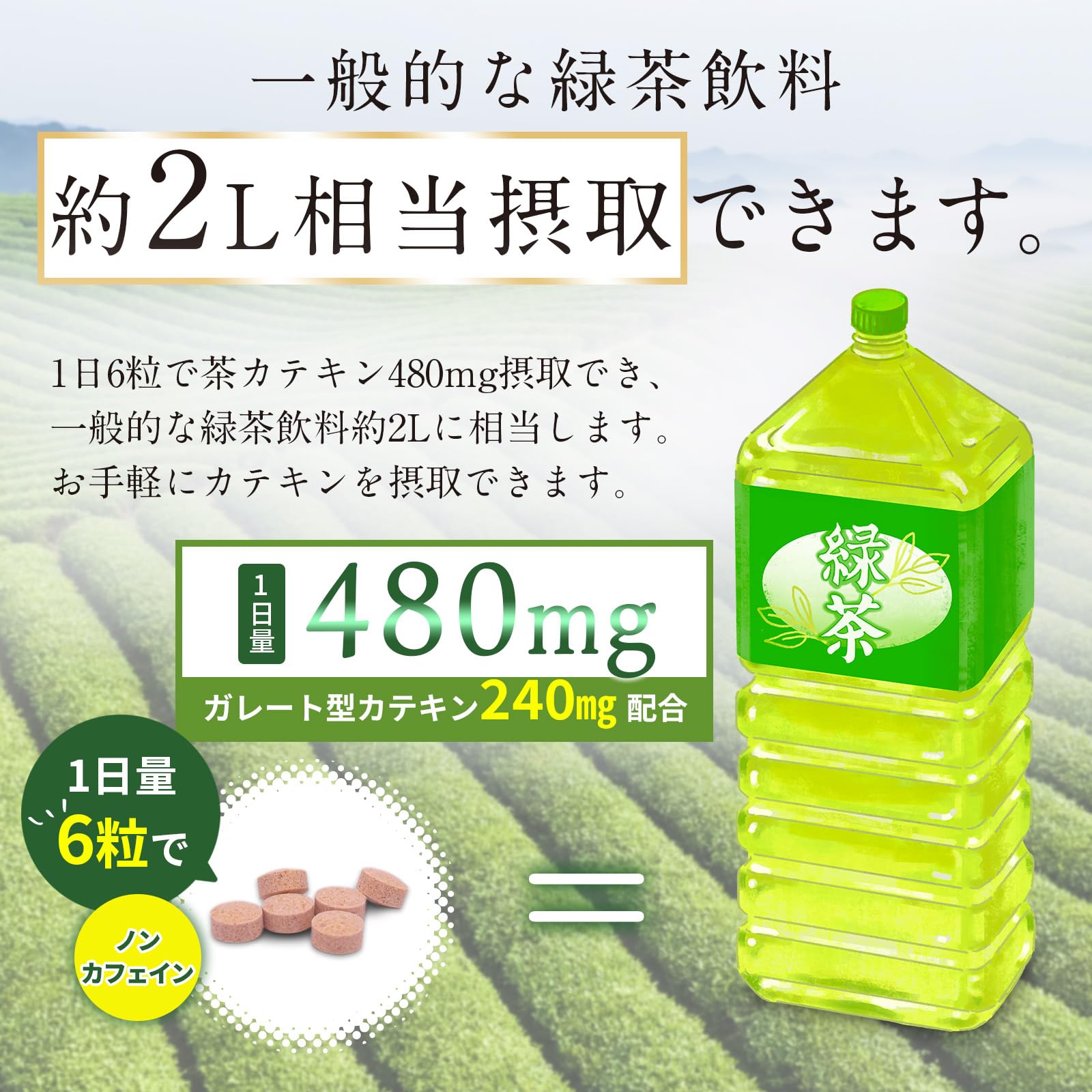 Amazon | 【製薬会社監修】野中烏犀圓 緑茶カテキン粒 茶カテキン
