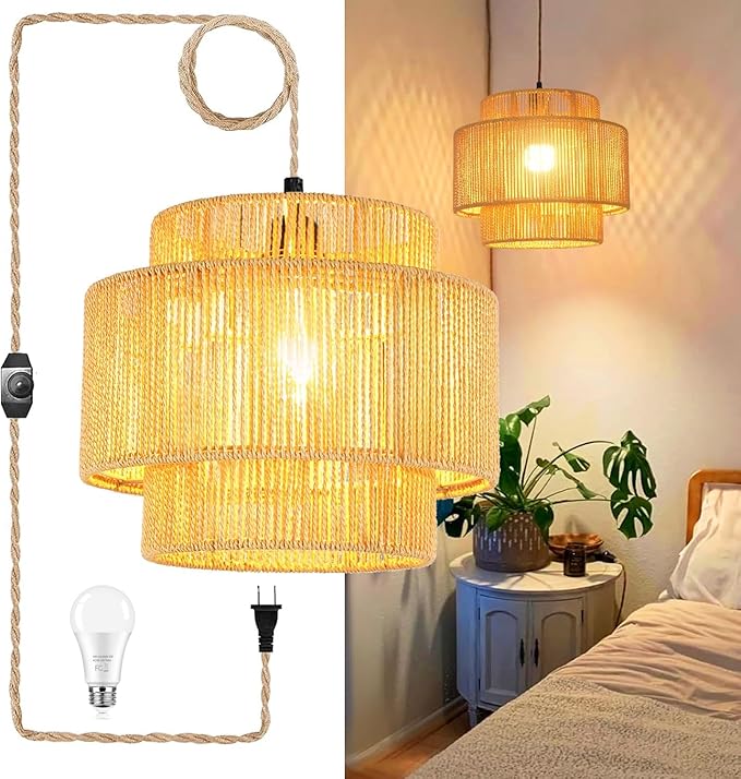 Plug in Pendant Light