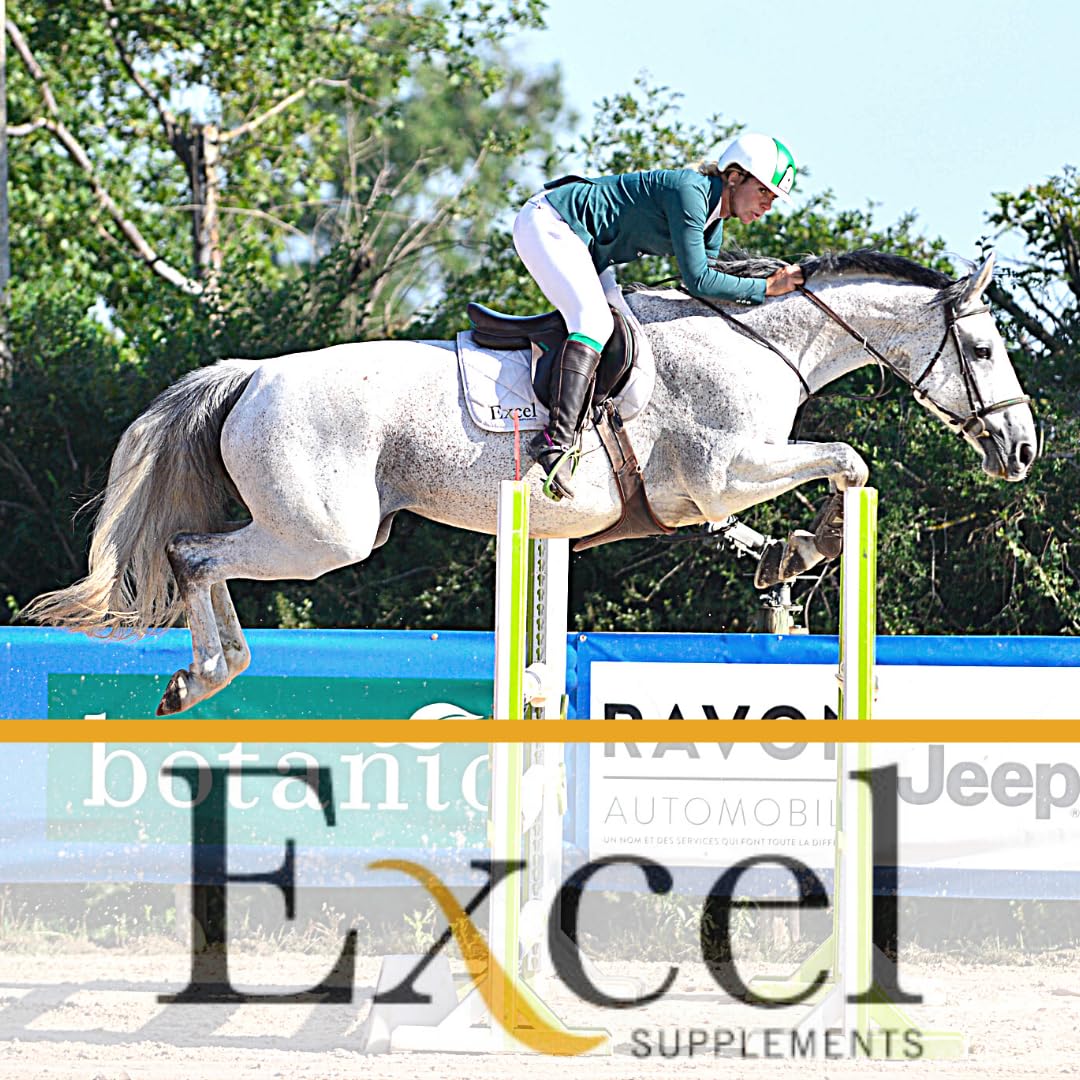 Excel Supplements VITAFLAV - Suplemento Alimenticio para Caballos | Mejora la Capacidad de respiración del Caballo | Aumenta el Rendimiento | Cuidado del Caballo | 1KG