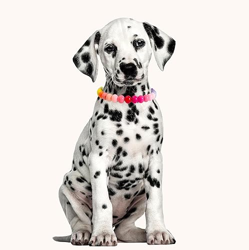 Miniatura 3 de Daovace Collar de perlas con cuentas para perro, hecho a mano, collar de perro elegante con campana, joyería para perros pequeños y cachorros (22 +