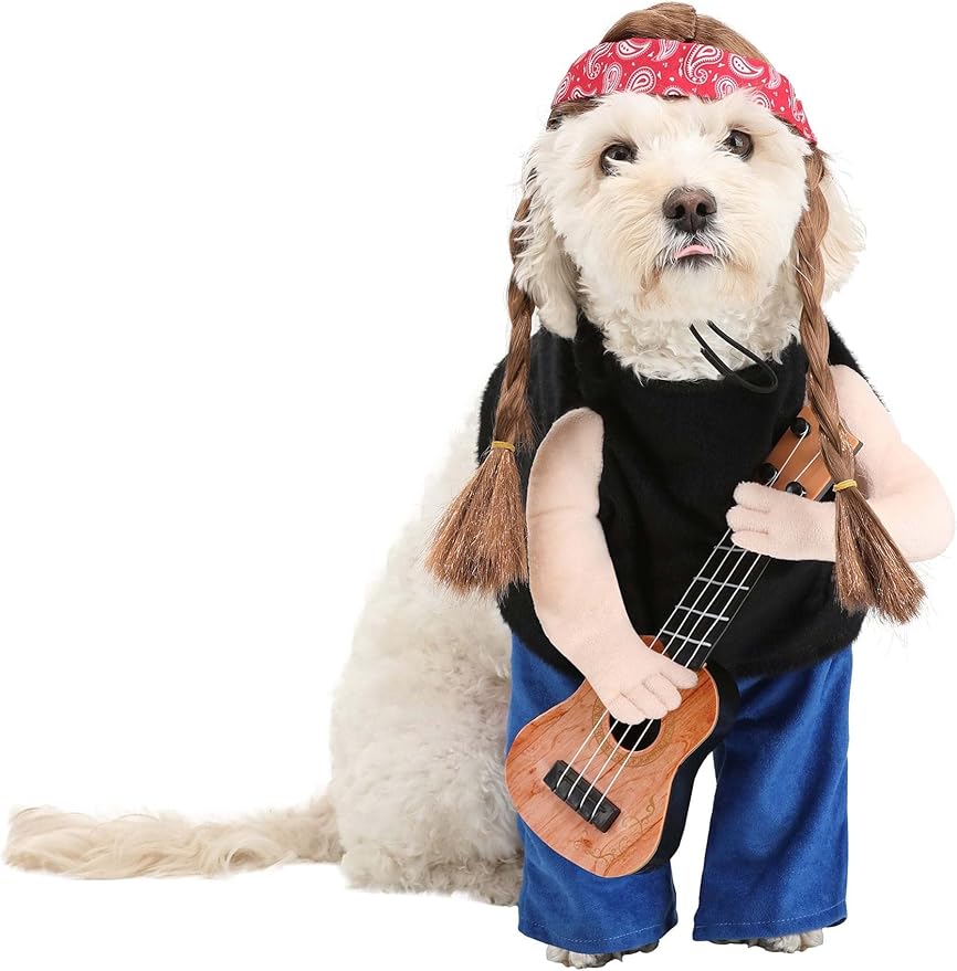 Disfraz de perro cantante country con guitarra y peluca miniatura 2