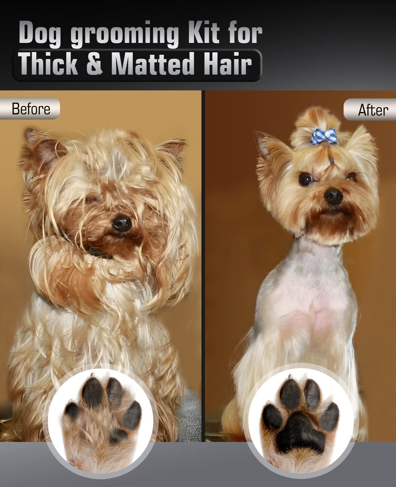 Can You Use Human Clippers On A Yorkie
