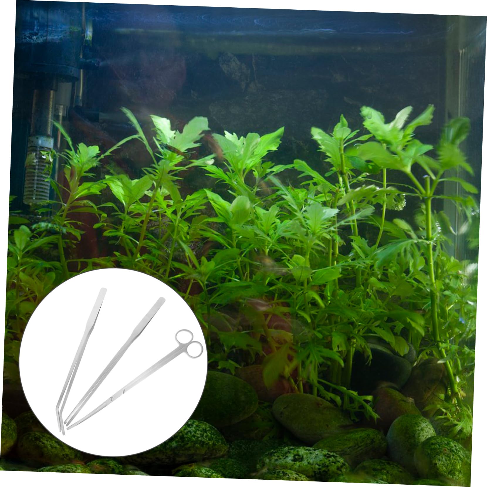 Abaodam 4 Ensembles Kit Outils de Nettoyage pour Aquarium de Outils Inoxydable pour Aquascaping Ciseaux Courbés Pince Droite Pince Courbée Plantes Aquatiques