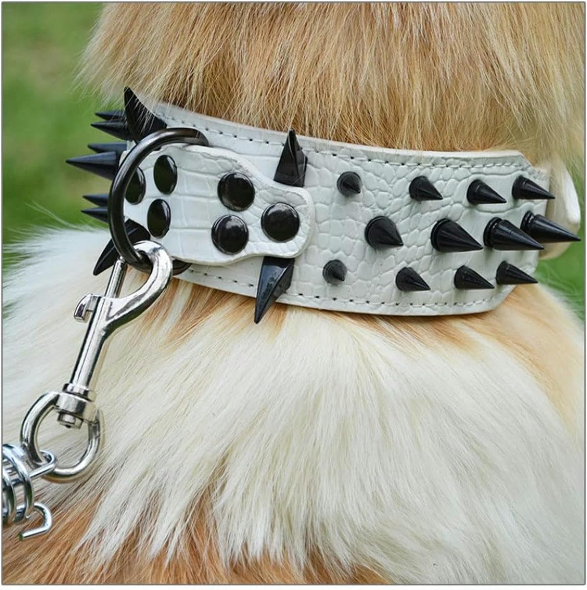 Collier pour Grand Chien de 2 pi de Largeur, 3 Couleurs, clouté à Pointes Pointues, Style Crocodile, Collier pour Chien de Taille Moyenne et Grande Taille, Blanc, L
