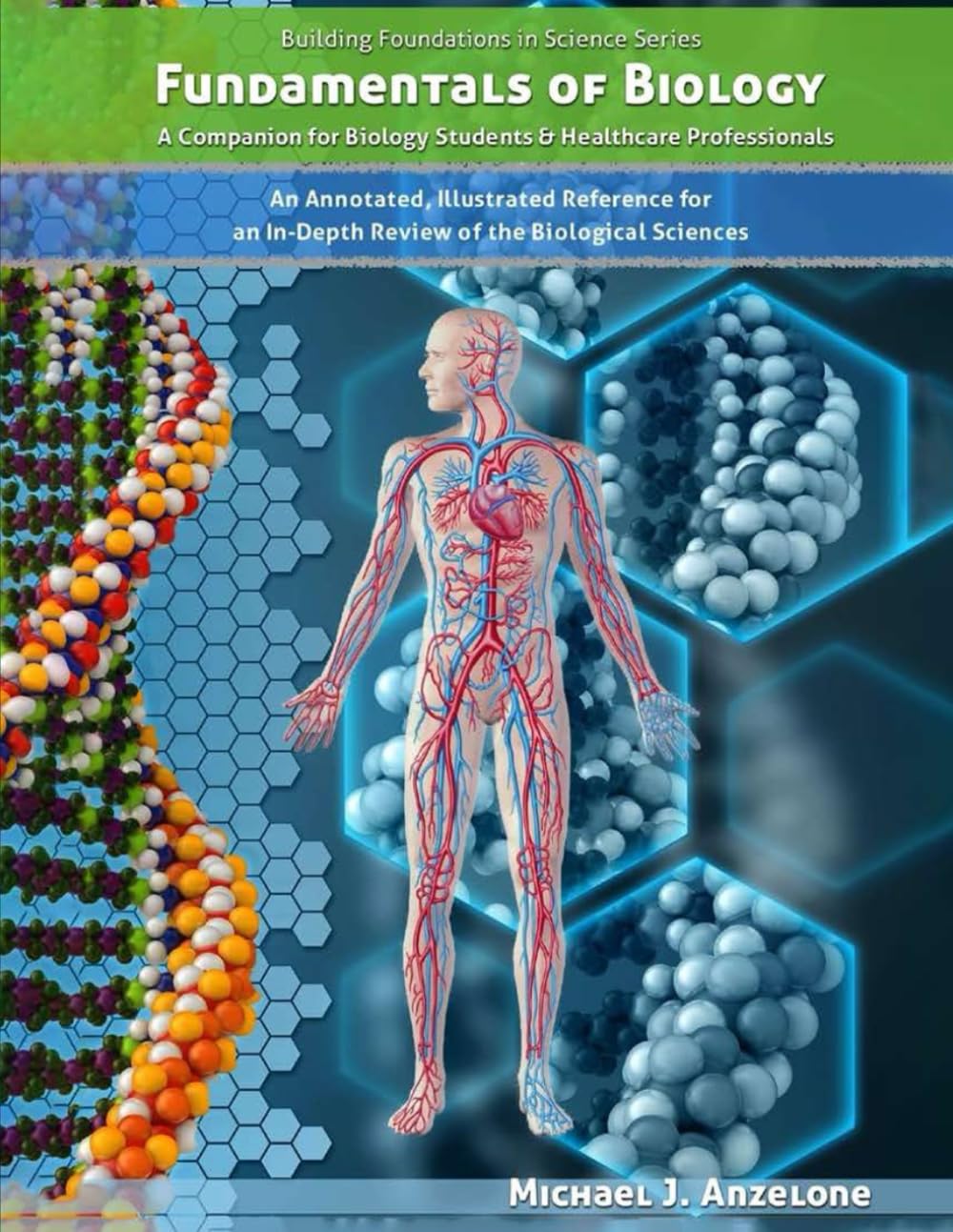 Fundamentals Of Biology: Second Edition,Revised 2024 (Fundamentals of Science)