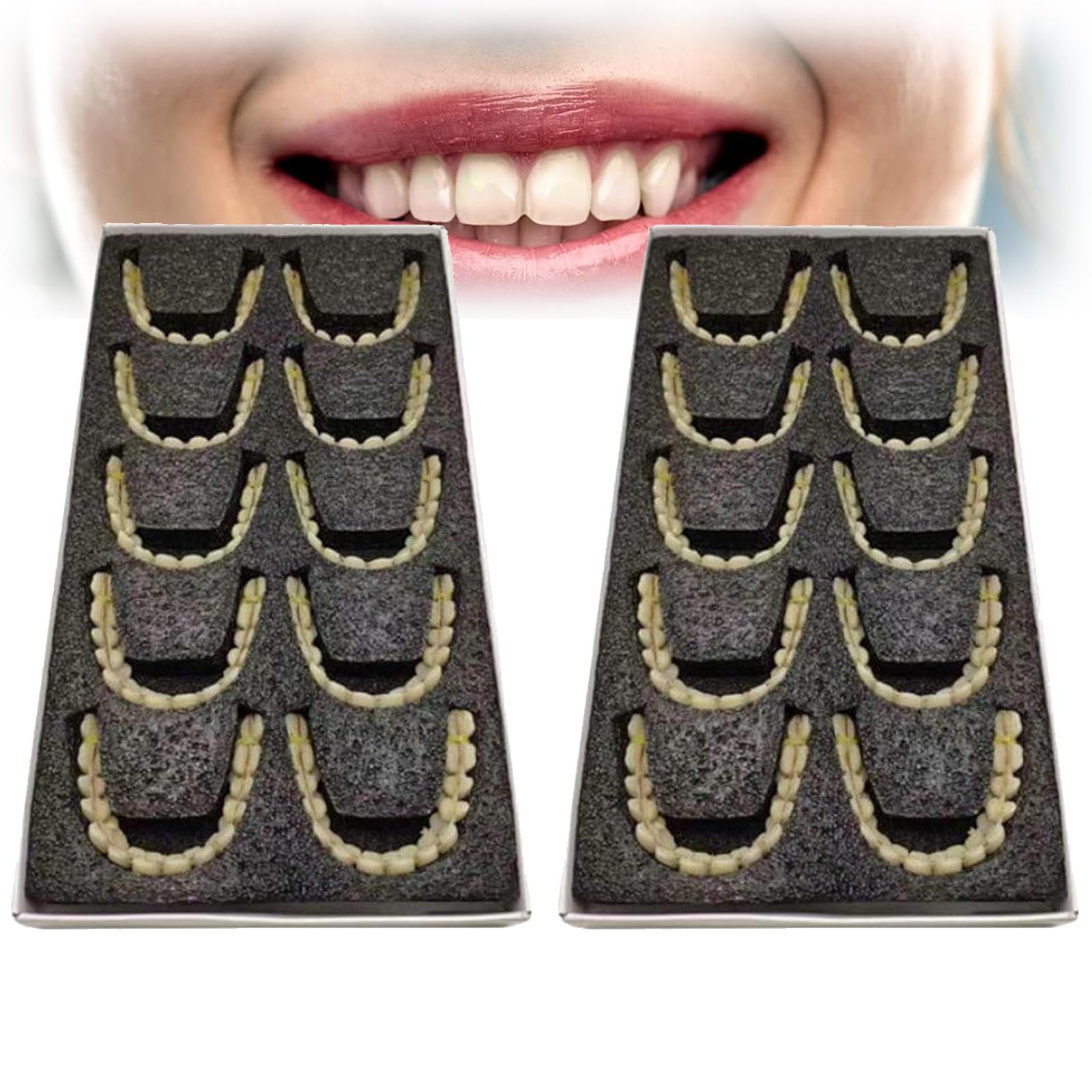 Modelo de Prótesis Dental de 10 Pares, Modelo de Anatomía Dental de Resina Sintética para Enseñanza de Exhibición de Estudio, Suministros de Laboratorio, Materiales Dentales