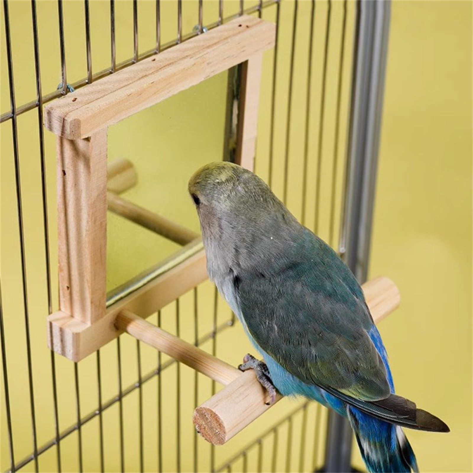 Amazon.co.jp: インコ鏡 鳥ミラーおもちゃ鳥ミラー鳥スタンドミラー