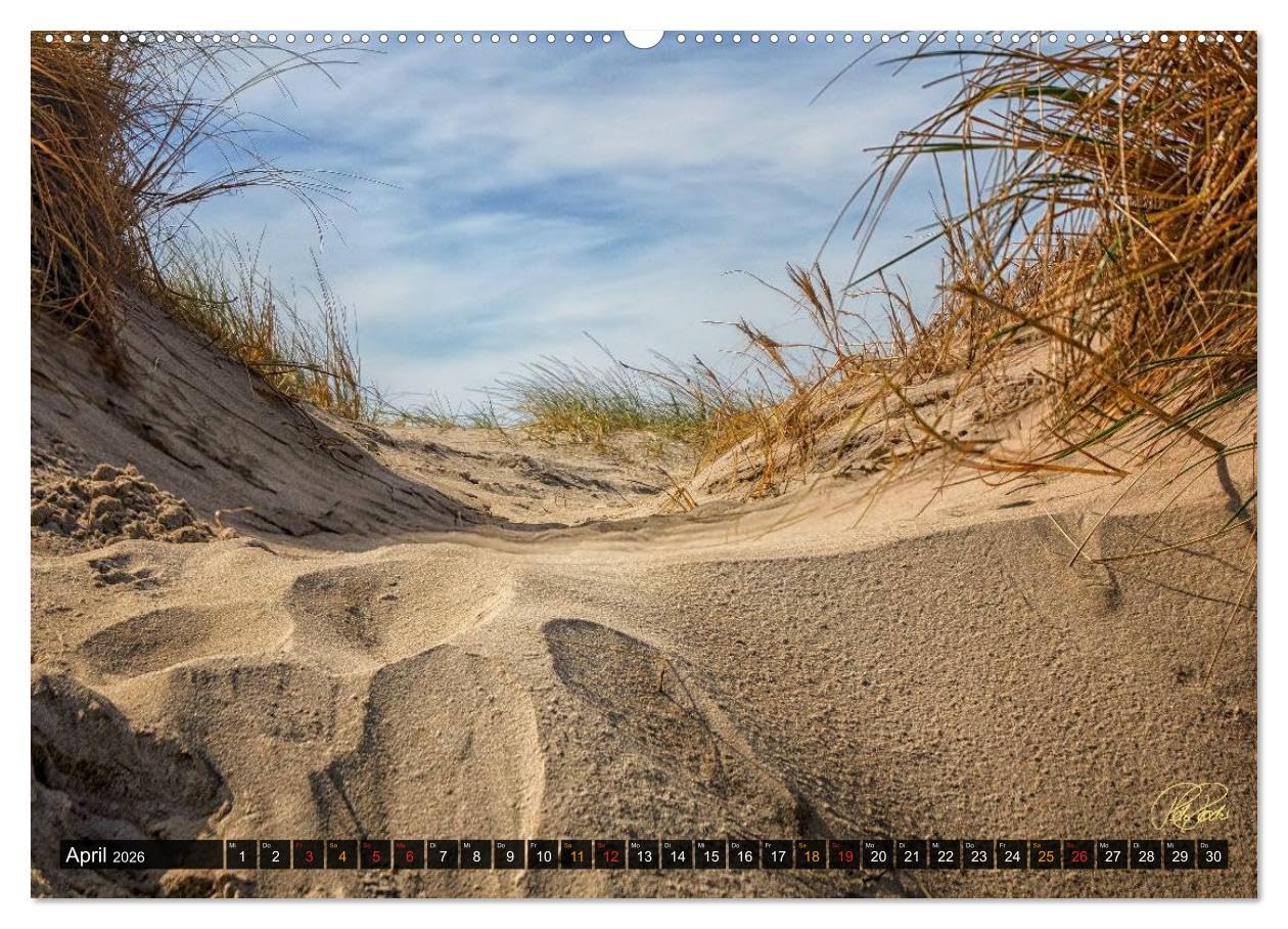Nordsee-Dünen (Wandkalender 2026 DIN A2 quer), CALVENDO Monatskalender: Peter Roder folgen Sie dem Fotokünstler in die Dünen an der Nordseeküste (CALVENDO Natur)