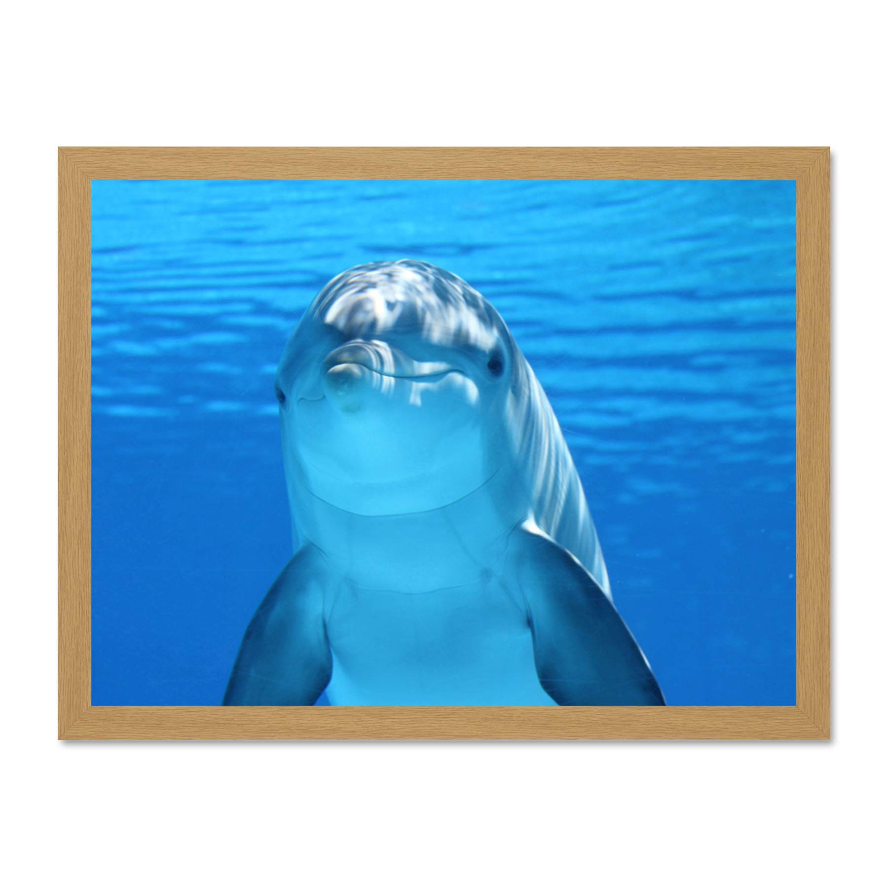 Bottlenose Dolphin Smiling Large Framed Art Print Poster Wall Decor 18x24 inch