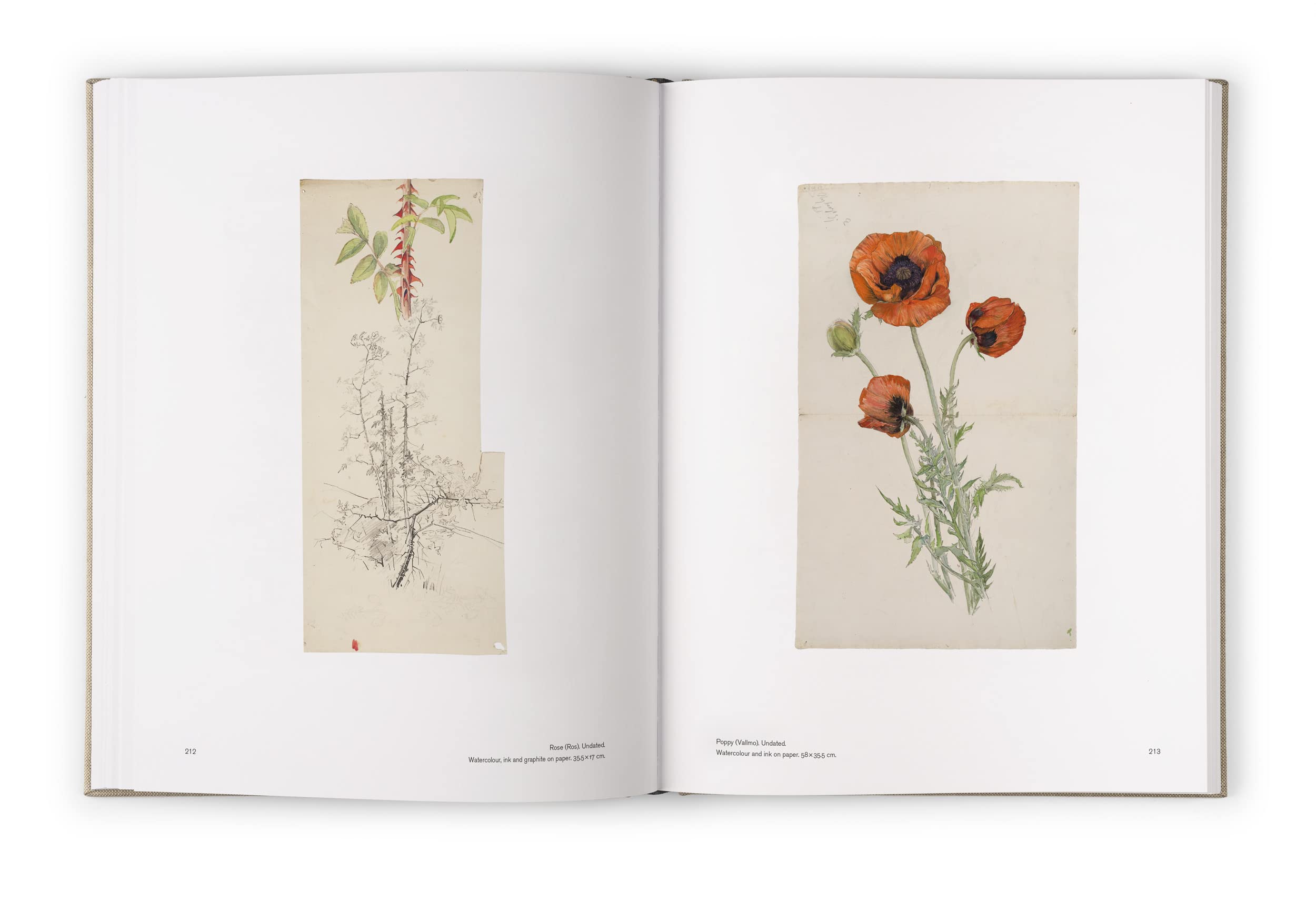 Hilma af Klint: The Landscapes, Portraits and Botanical Works (1886-1940) Catalogue RaisonnE volume