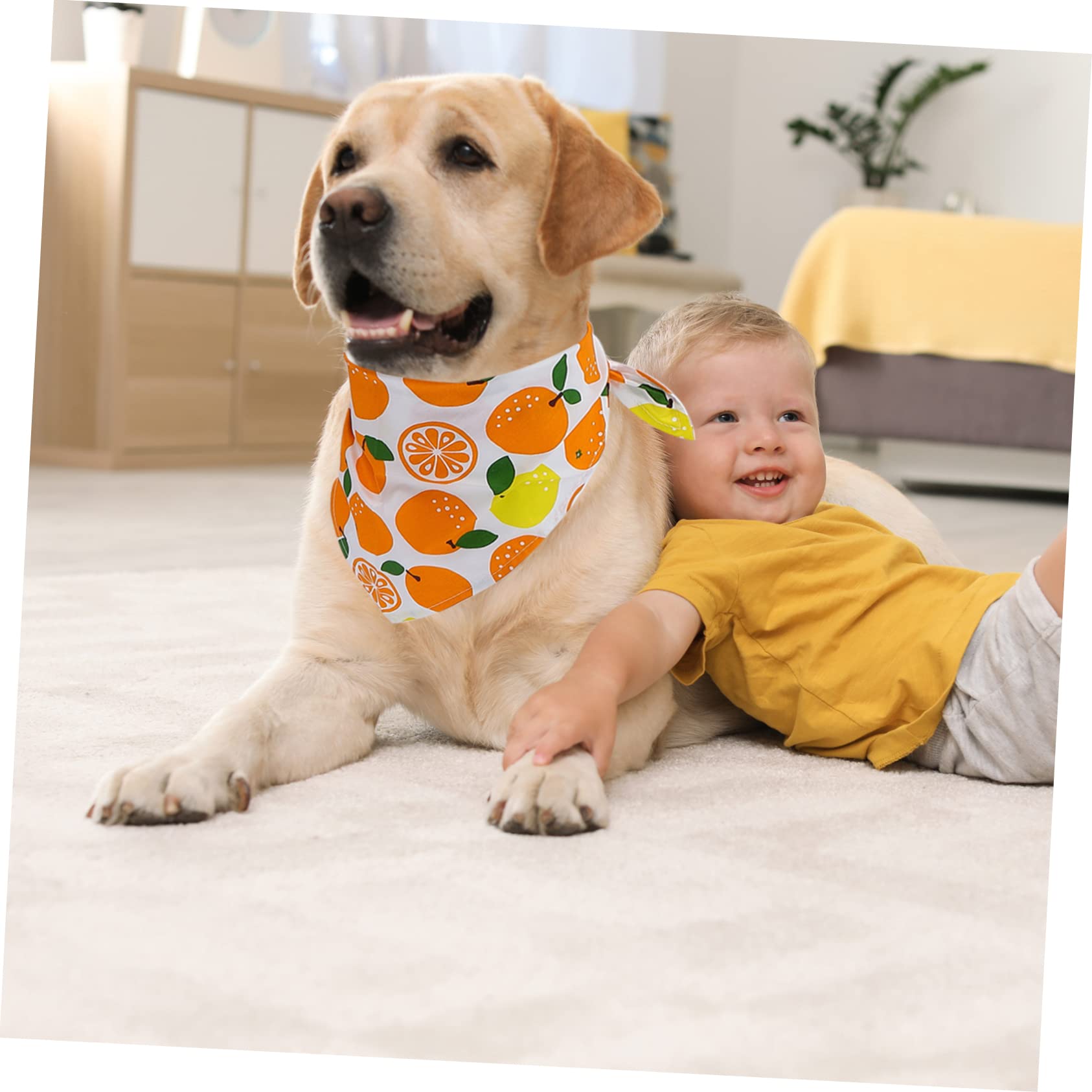 INOOMP 10stücke Hundebandanas Aus Verstellbare Haustierhalstücher Mit Fruchtigem Muster Für Hunde Und Katzen Saugfähige Pet Scarves Für Jeden Tag Und Besondere Anlässe