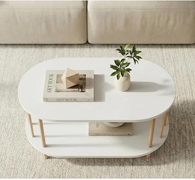 İskandinav Tarzı Alt Raflı Oval Orta Sehpa Dekoratif Salon Masası (beyaz)