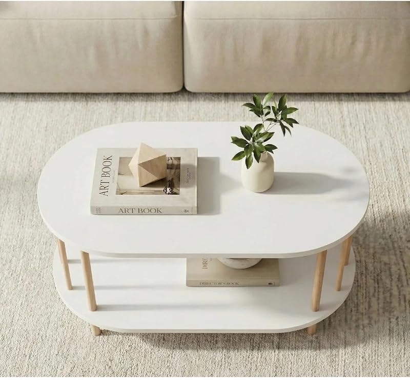 İskandinav Tarzı Alt Raflı Oval Orta Sehpa Dekoratif Salon Masası (beyaz)