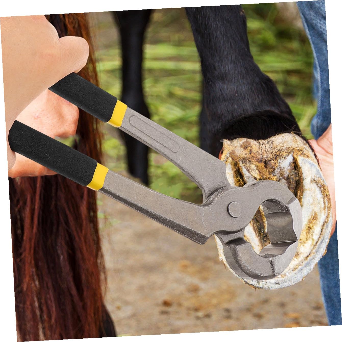 Tenaglie per Zoccoli da Cavallo e Bovino Multifunzione 30 Cm
