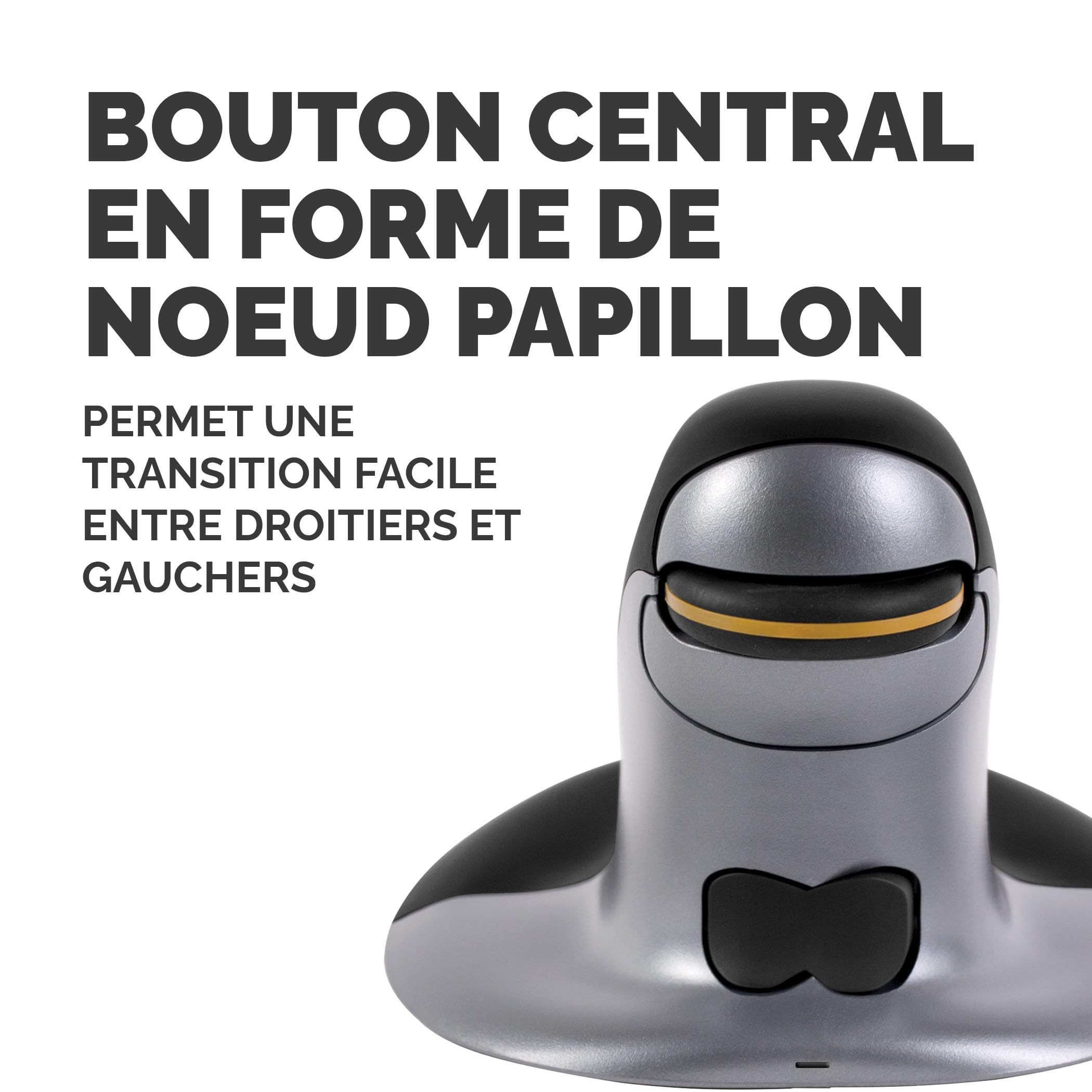 Fellowes 9894701 Souris Ambidextre RF sans Fil 1200 DPI
