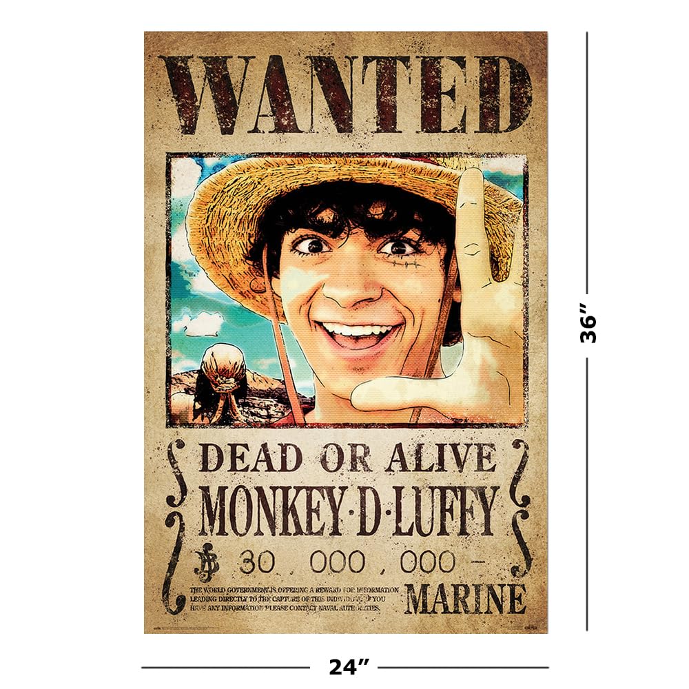ONE PIECE WANTED モンキー・D・ルフィ Amazon.com: One Piece - Netflix TV Show Poster (Wanted: Monkey D