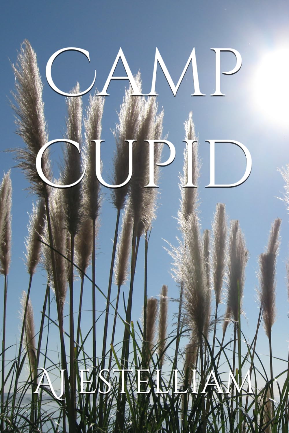 Camp Cupid (Romance and relationships series)