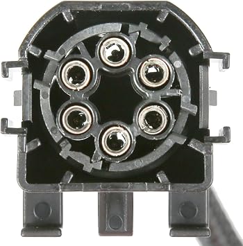 Delphi FE0747 Fuel Pump and Strainer Set, 1 Pack