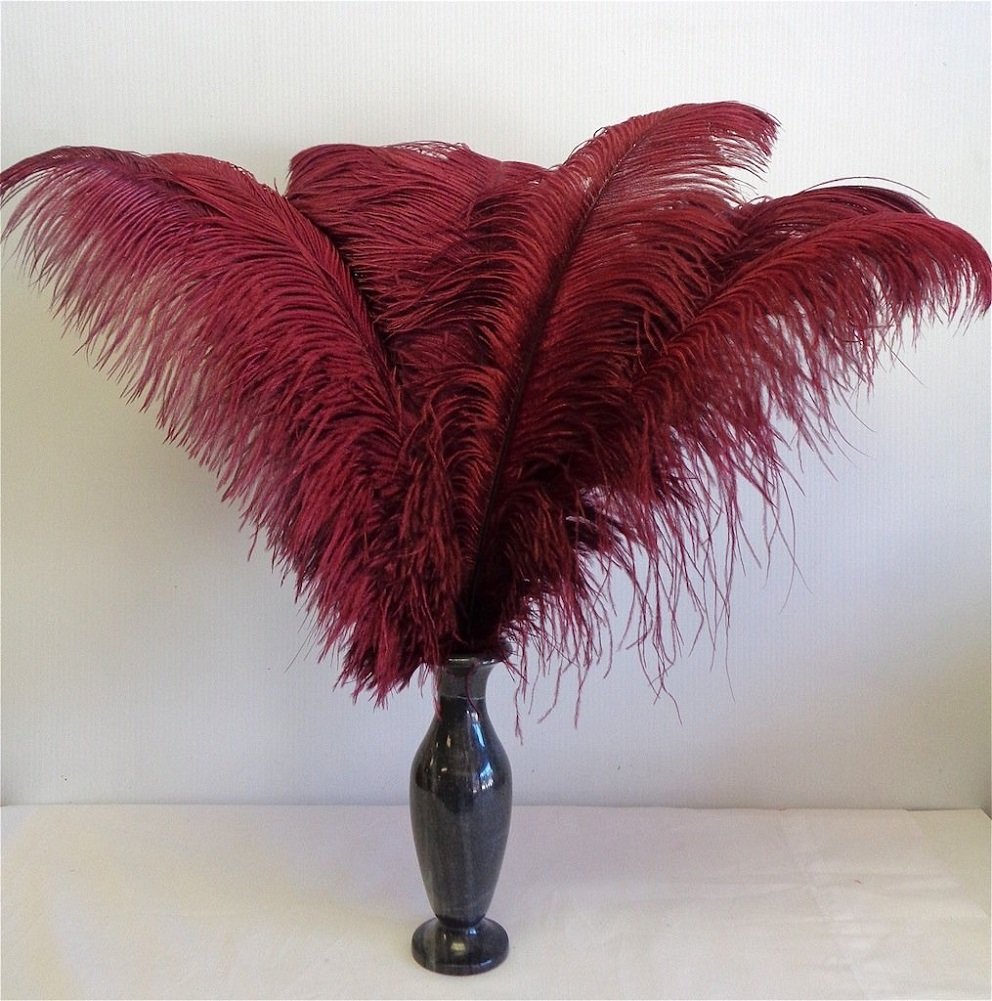 KOLIGHT 50PCS piume di struzzo rose-red 30-35 cm piume naturali, matrimoni, feste, casa, peli decorazione
