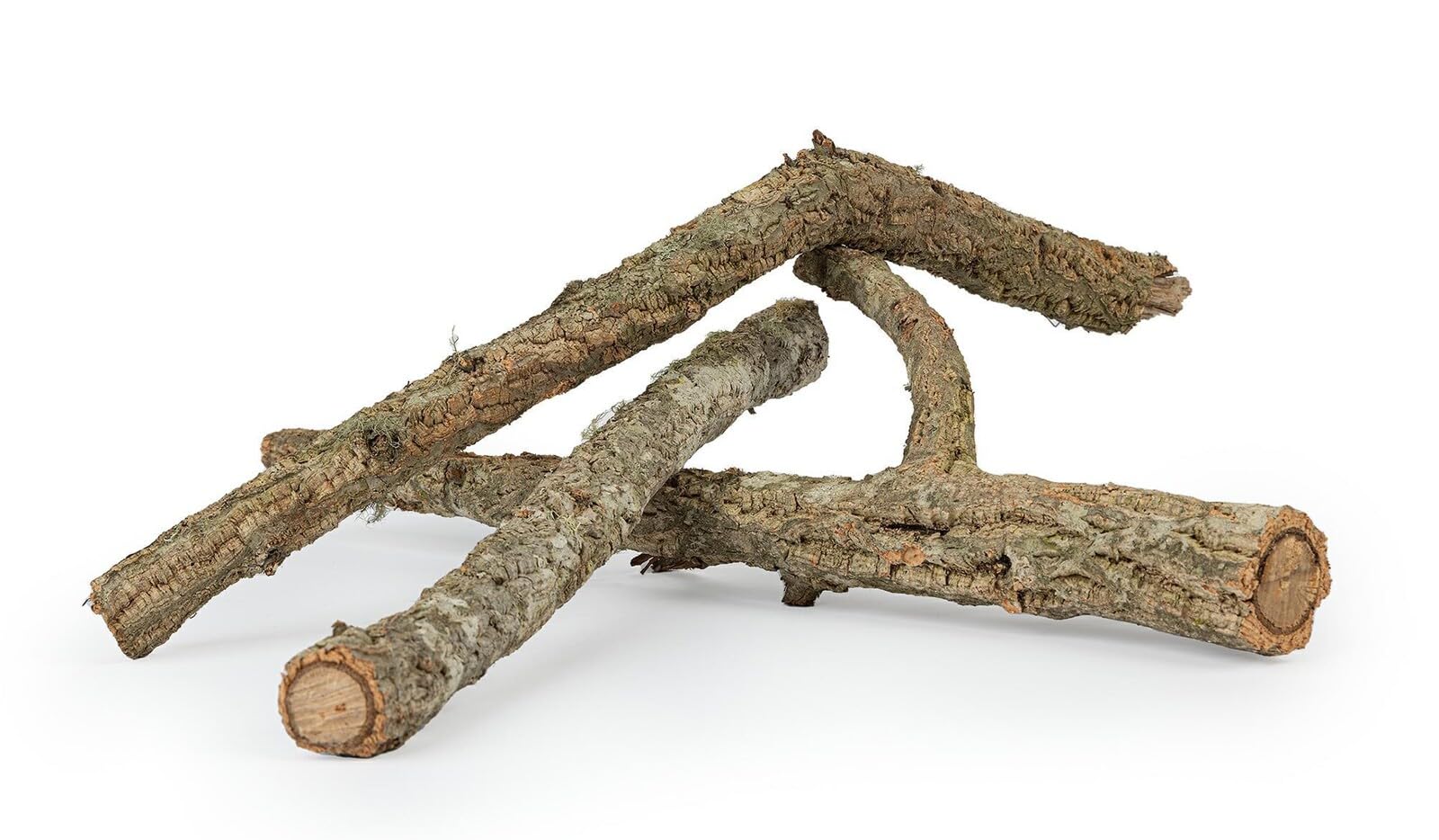 HAPPET Gałąź Korkowa do Terrarium 50 cm – Naturalna Dekoracja z Kory Dębu Korkowego, Odporna na Wilgoć i Pleśń, Idealna do Wspinaczki i Aranżacji