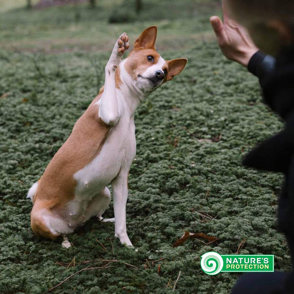 Nature's Protection Superior Care Droogvoer voor honden, hypoallergeen, graanvrij, met zalm, voor gevoelige volwassenen honden, omega 3 en 6, huid, vacht en spijsvertering, 1,5 kg