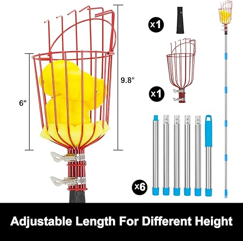 Miniatura 2 de joyhalo Recolector de frutas con cesta, recogedor de manzanas de 5.5 pies con mango ajustable de acero inoxidable, cesta de recolección de frutas