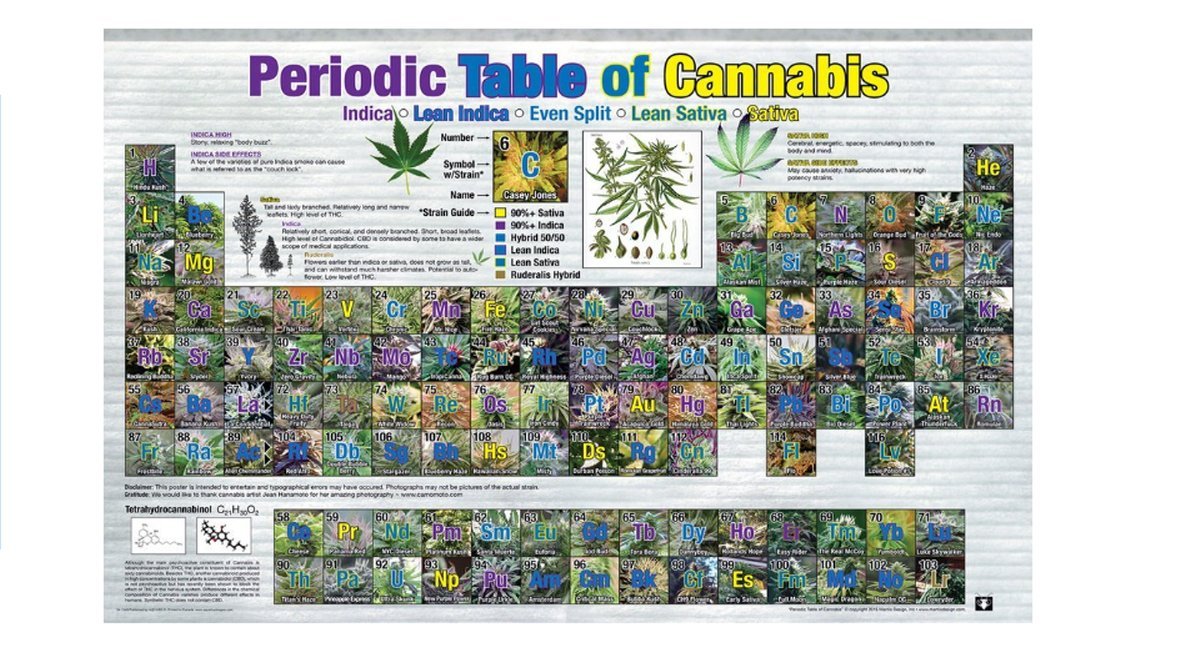 Amazon.com: MyPartyShirt Periodic Table of Cannabis Poster Pot ...